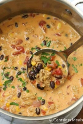 Mexican cheese soup in a pot with cilantro and a ladle