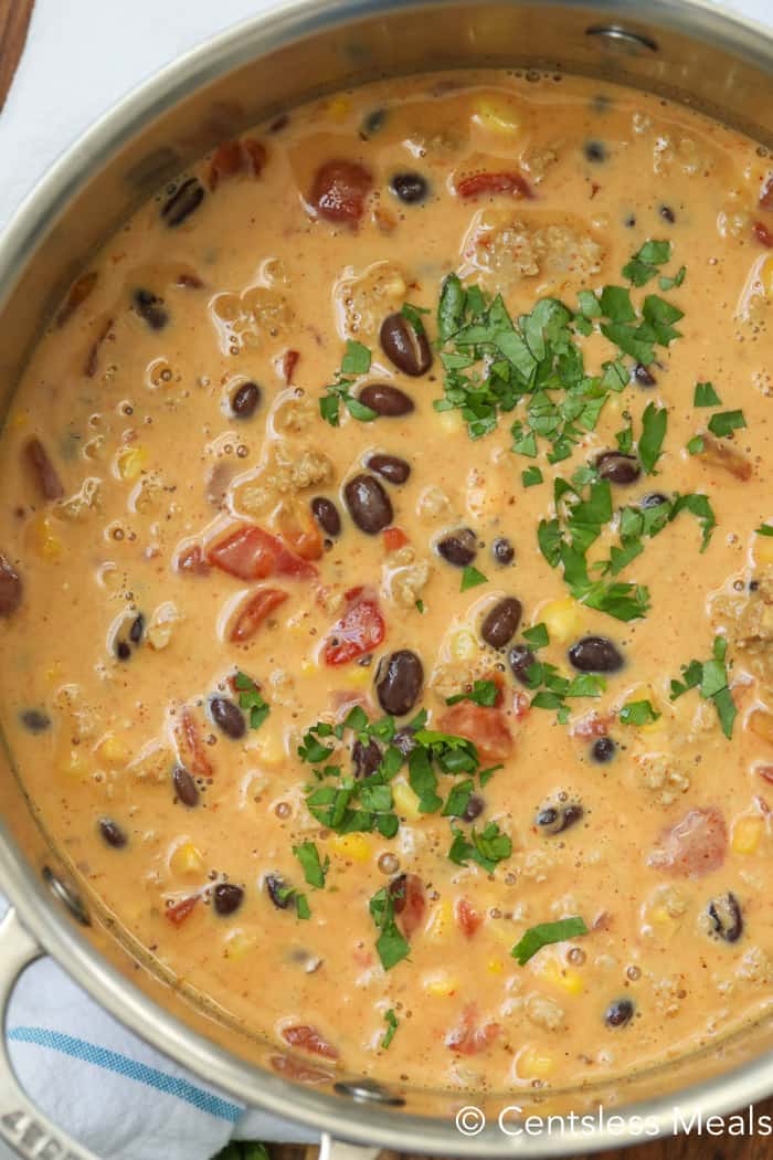 Mexican cheese soup in a pot with cilantro