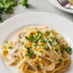 Chicken tetrazzini on a white plate garnished with parsley