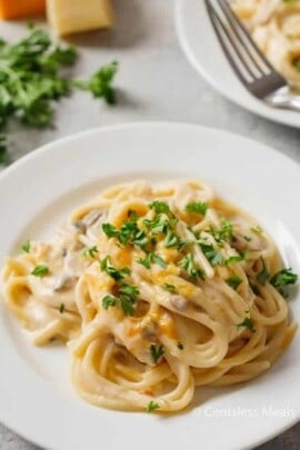 Chicken tetrazzini on a white plate garnished with parsley