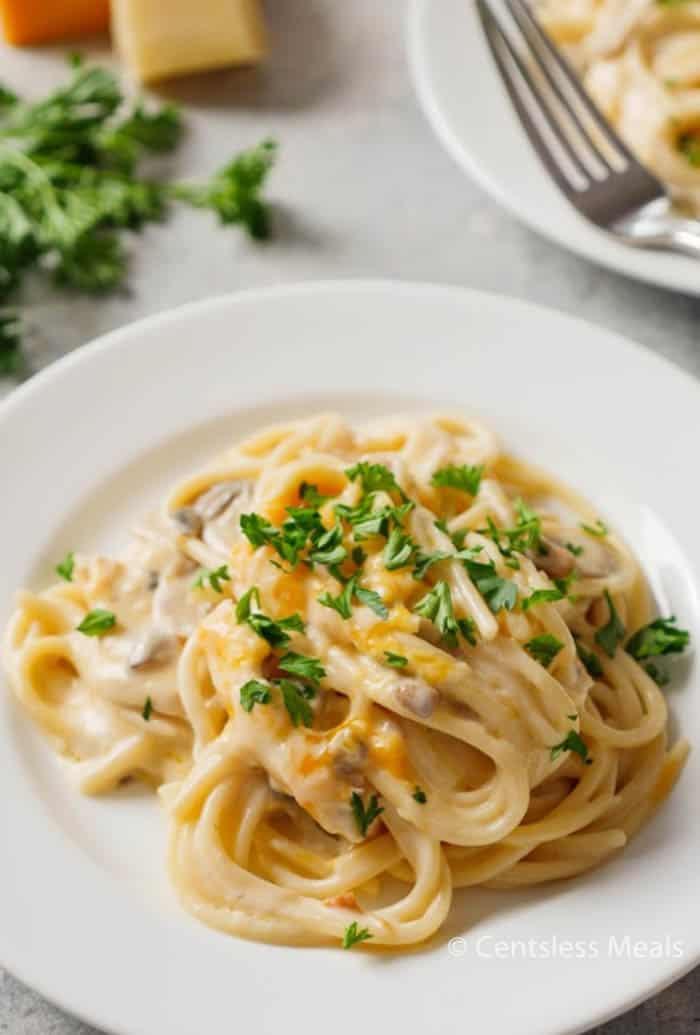 Chicken tetrazzini on a white plate garnished with parsley