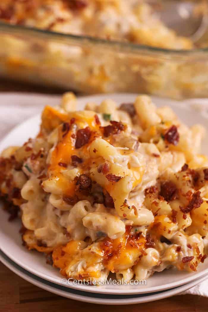 Bacon chicken macaroni and cheese on a white plate