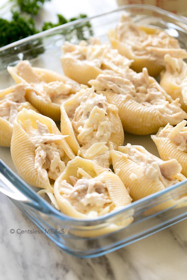 Cheesy chicken stuffed shells in a casserole dish without cheese sauce