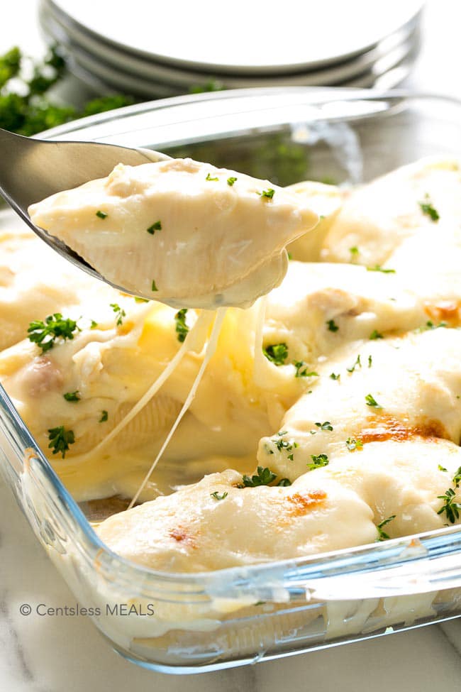 Cheesy chicken stuffed shells in a casserole dish with one being scooped out