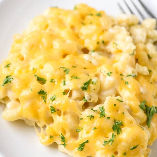 Baked Macaroni Cheese With A Secret Ingredient Centsless Meals