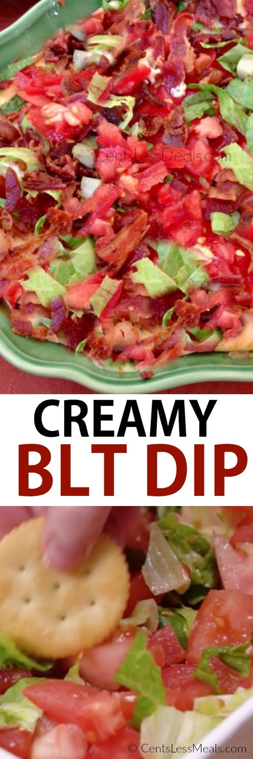 Creamy BLT dip in a dish and being dipped with a cracker with a title
