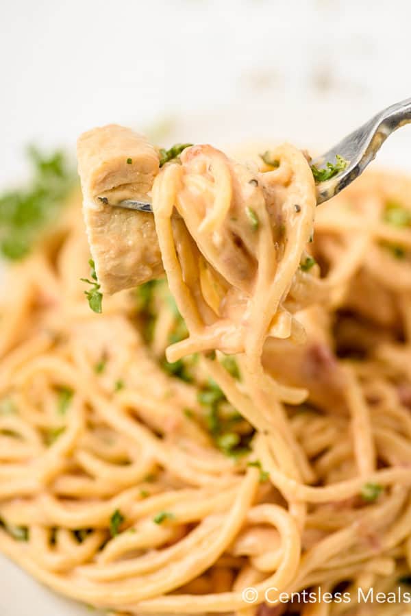 Easy Chicken Spaghetti - on the Stovetop or CrockPot! - The Shortcut ...