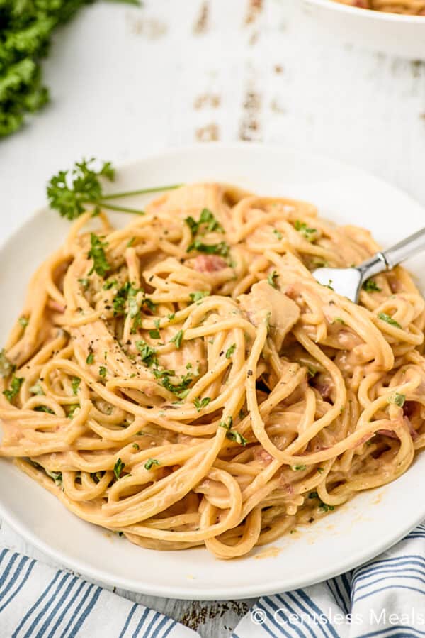 Easy Chicken Spaghetti - on the Stovetop or CrockPot! - The Shortcut