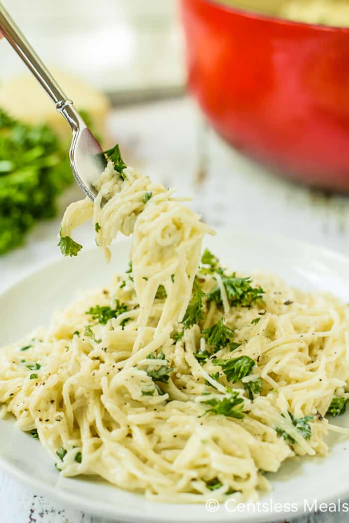 One Pot Creamy Garlic Pasta {ready in 15 mins} - CentsLess ...