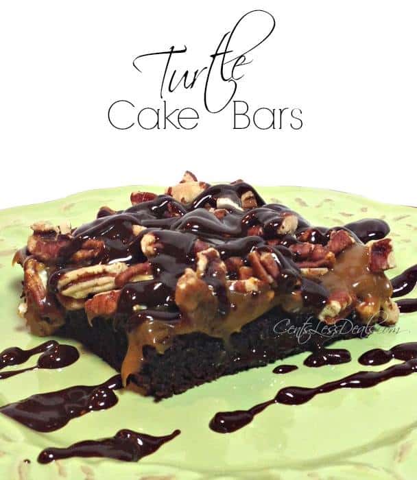 turtle cake bars