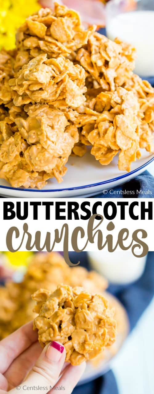 Butterscotch Crunchies on a plate and one being held with a title