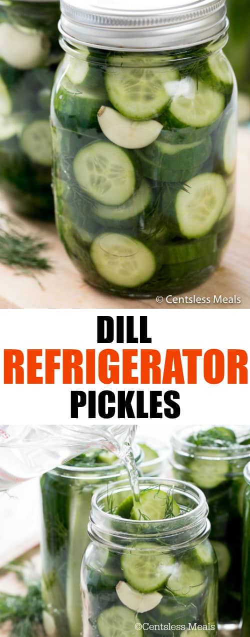 Garlic Dill Refrigerator Pickles - CentsLess Meals