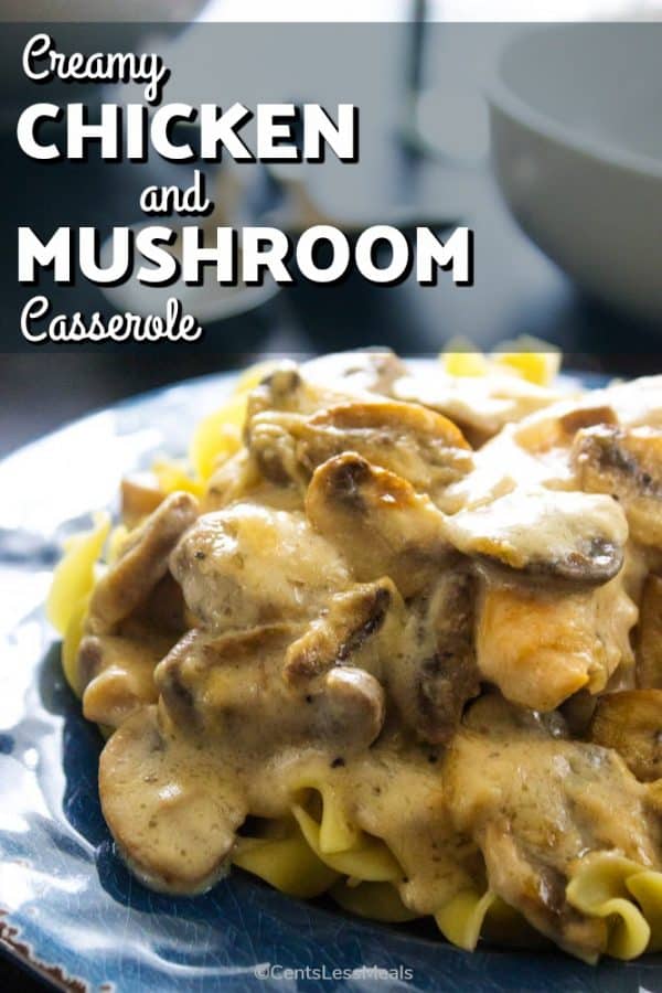 creamy chicken and mushroom casserole
