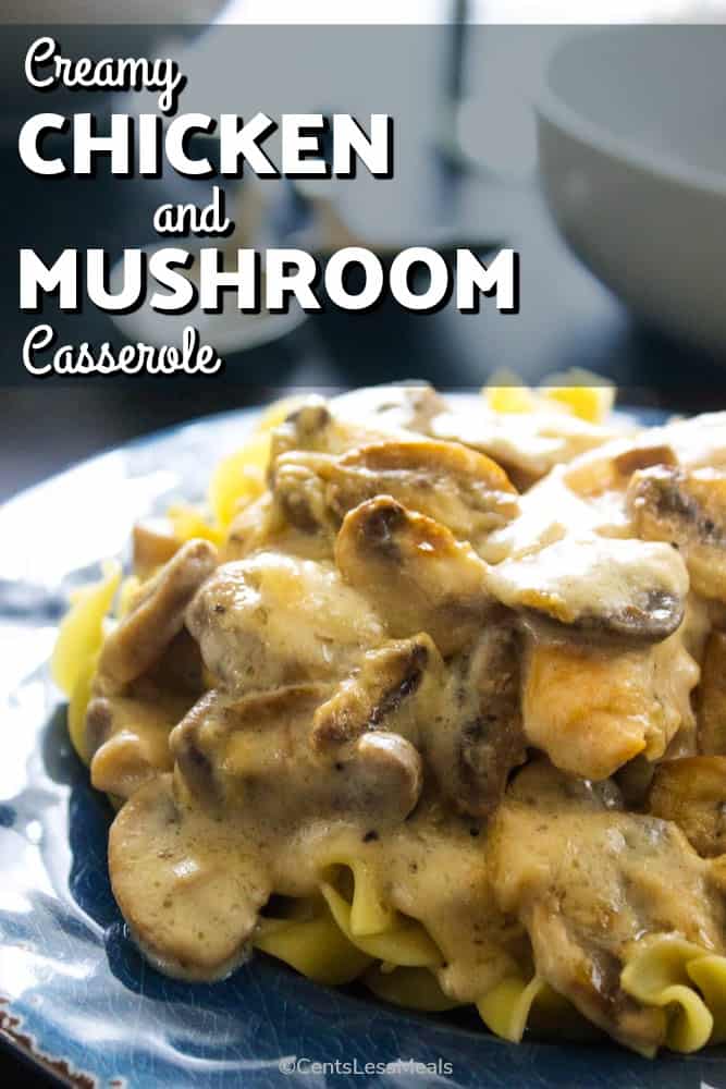 Chicken and Mushroom Casserole on a blue plate with a title
