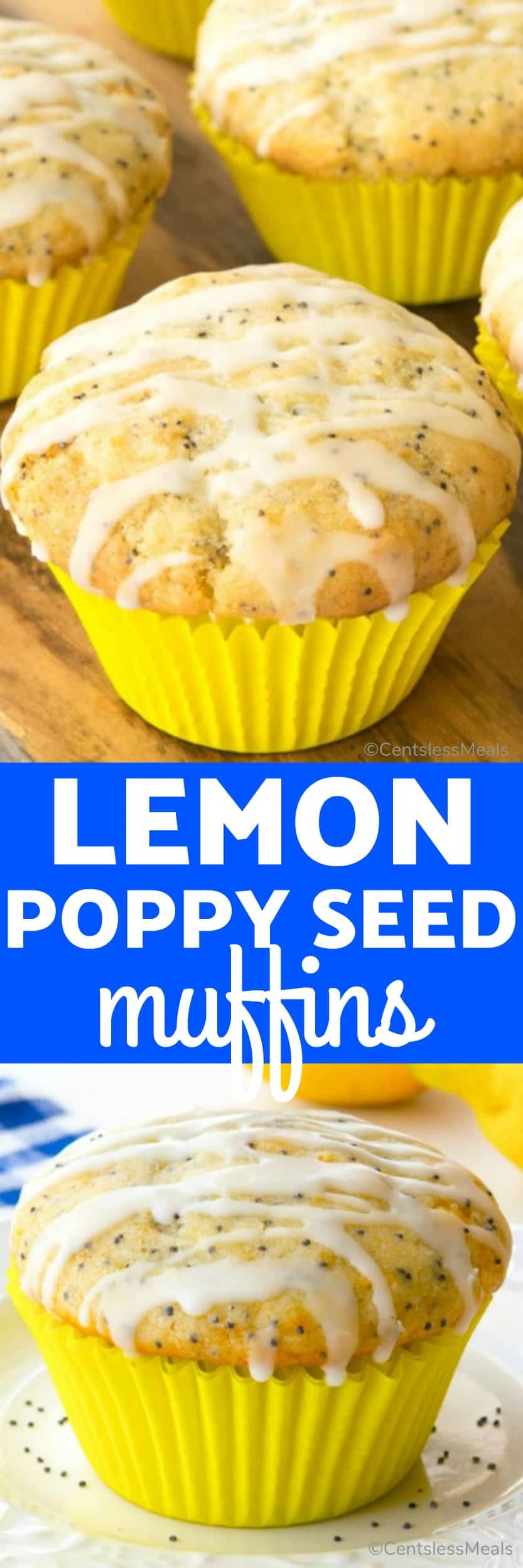 Lemon poppy seed Muffins with a title