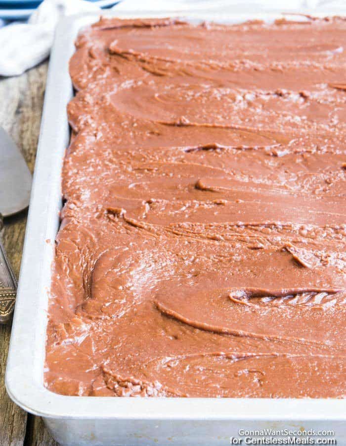 Texas Sheet Cake in a Jelly Roll Pan with icing