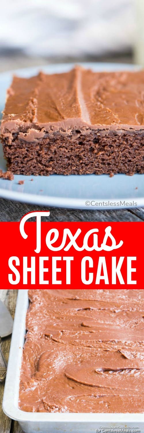 Texas Sheet Cake - CentsLess Meals