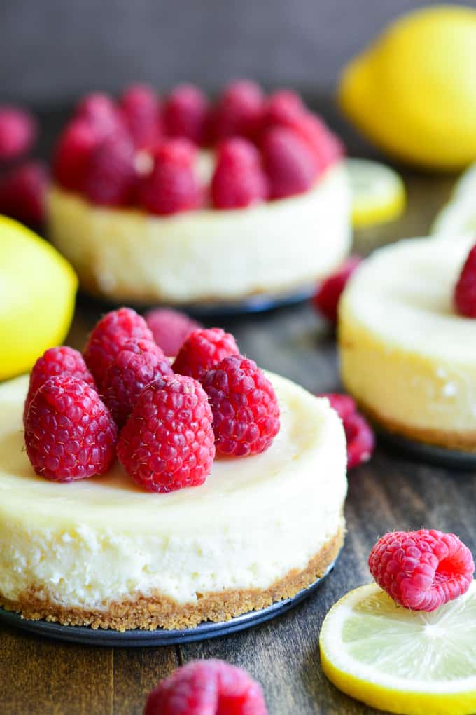 Raspberry lemon cheesecake with raspberries on top