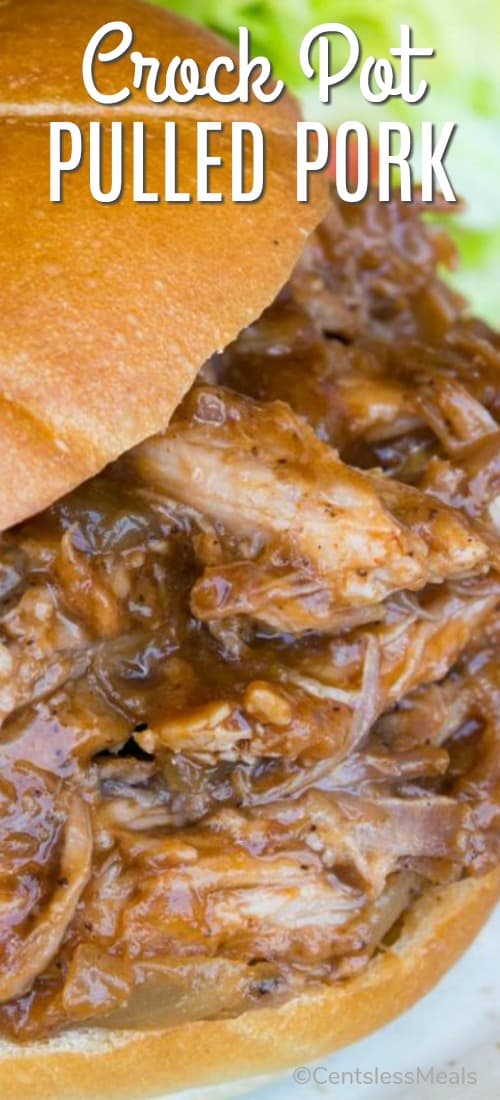 Crock-pot pulled pork on a bun with a title