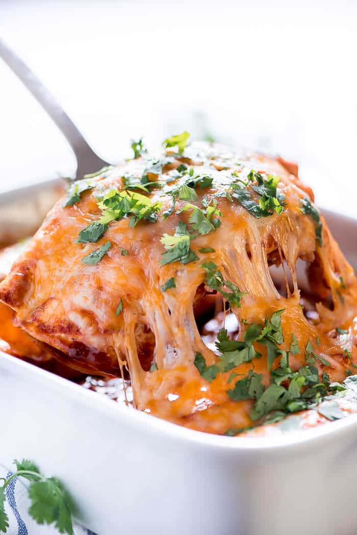 Beef enchiladas in a white casserole dish with cilantro