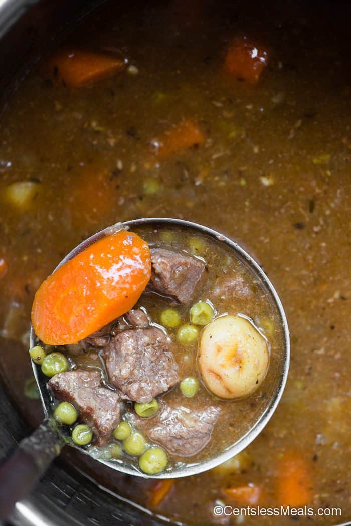 ladle with beef stew