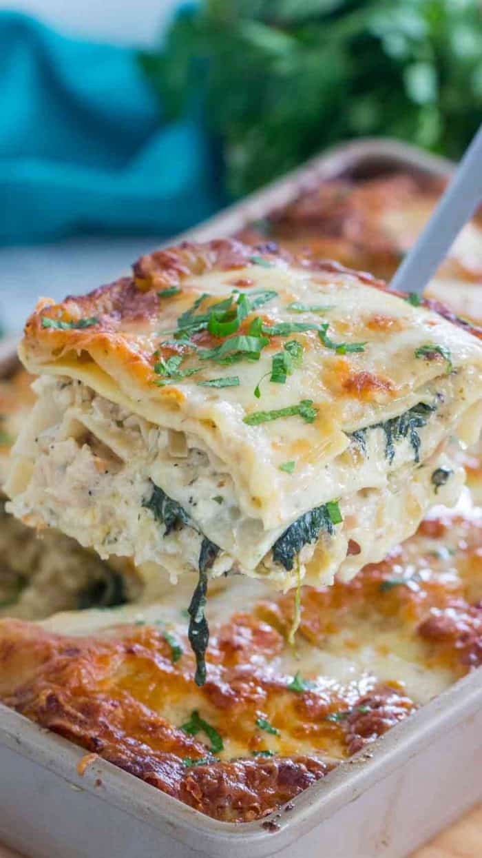 A piece of chicken alfredo lasagna being scooped from a pan