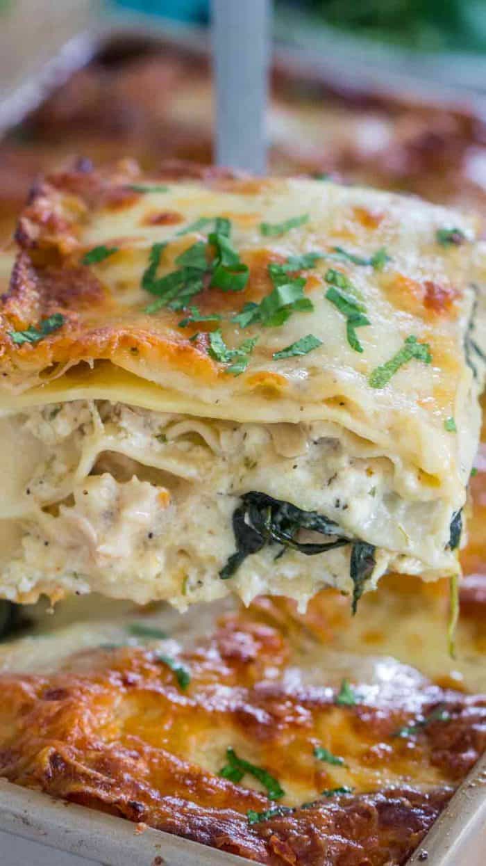 Chicken alfredo lasagna with parsley on top