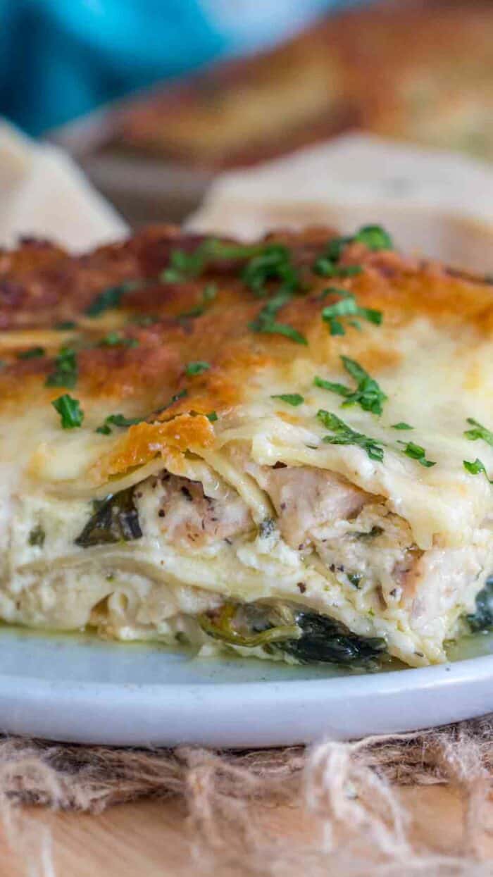 Chicken alfredo lasagna on a plate garnish with parsley