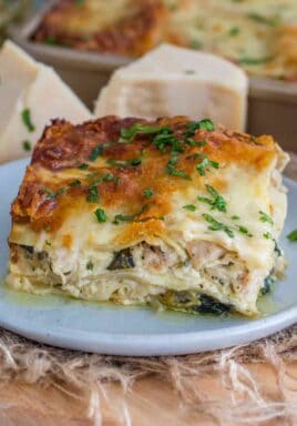 Chicken Alfredo Lasagna made with chicken breast, parmesan, Alfredo sauce and mozzarella cheese is delicious and rich. A cheesy and hearty lasagna your family will absolutely love!