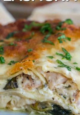 Chicken Alfredo Lasagna - The Shortcut Kitchen