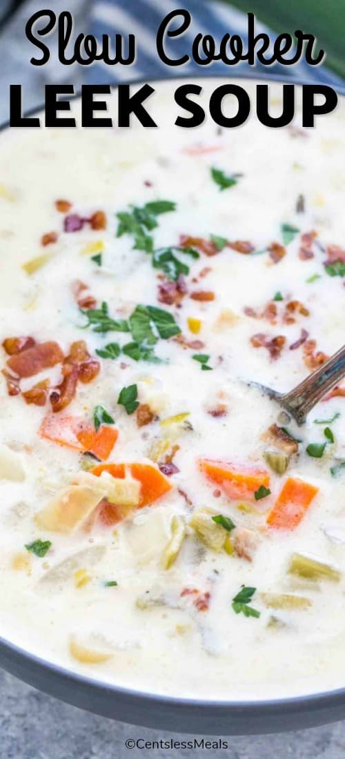 Slow cooker leek soup with a spoon and a title