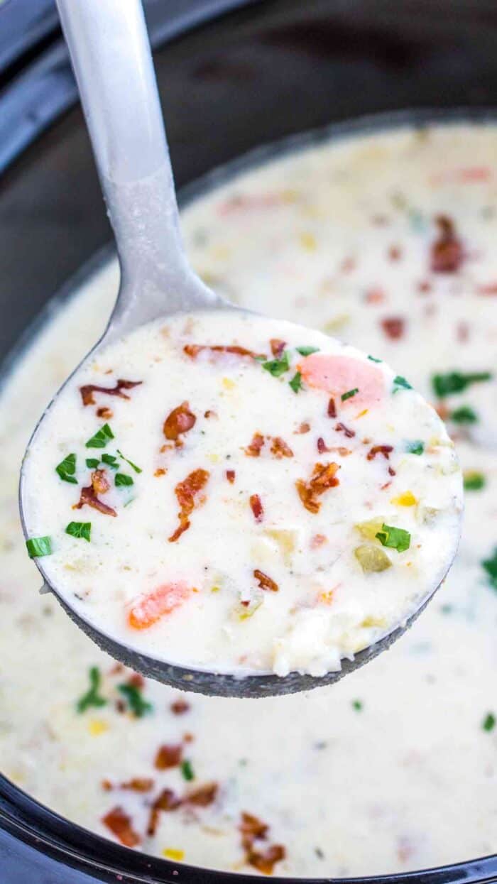 Slow Cooker Leek Soup in a ladle with a Crock-Pot in the background