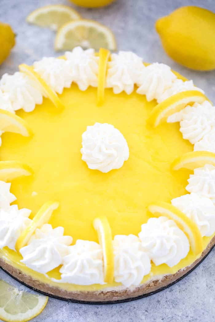Lemon Cheesecake {Citrusy & Creamy!} - CentsLess Meals