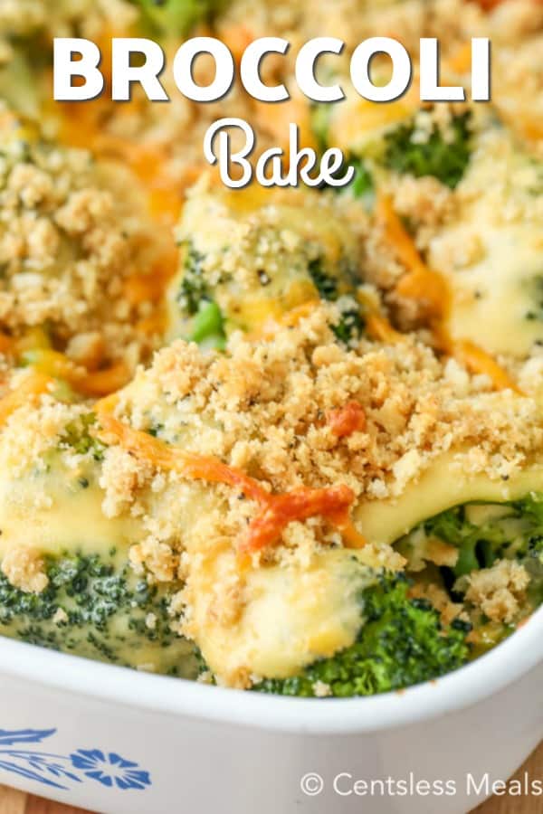 Broccoli Bake {Delicious Side Dish Idea!} - The Shortcut Kitchen