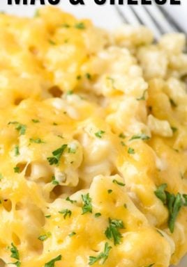 Baked Macaroni and Cheese on a white plate close up