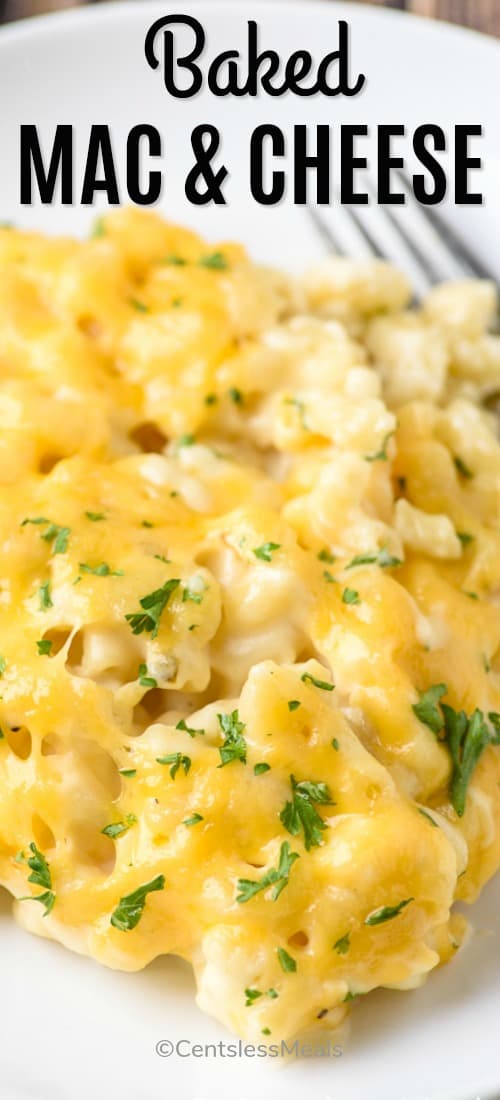 Baked Macaroni and Cheese on a white plate close up