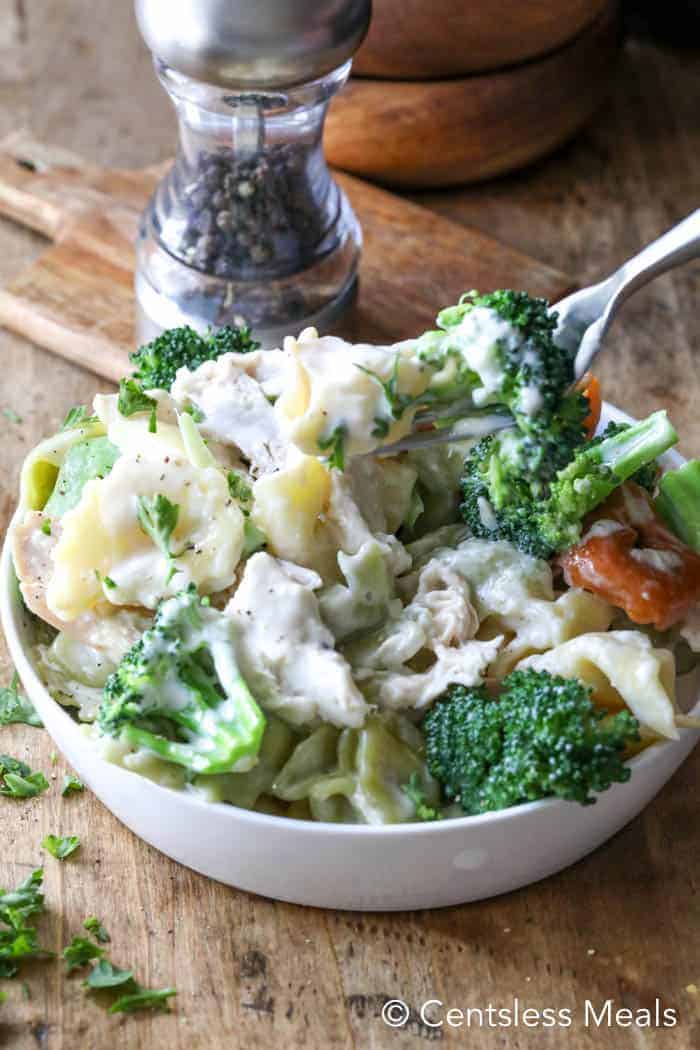 Chicken alfredo tortellini in a bowl with a fork