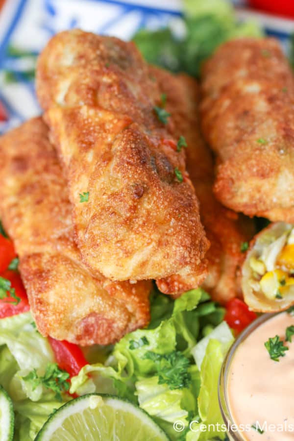 Chicken Avocado Egg Rolls {An Easy Appetizer} The Shortcut Kitchen