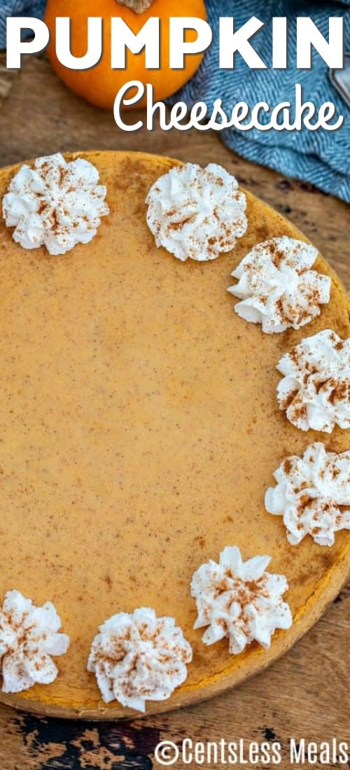 Pumpkin cheesecake with whipped cream and a title