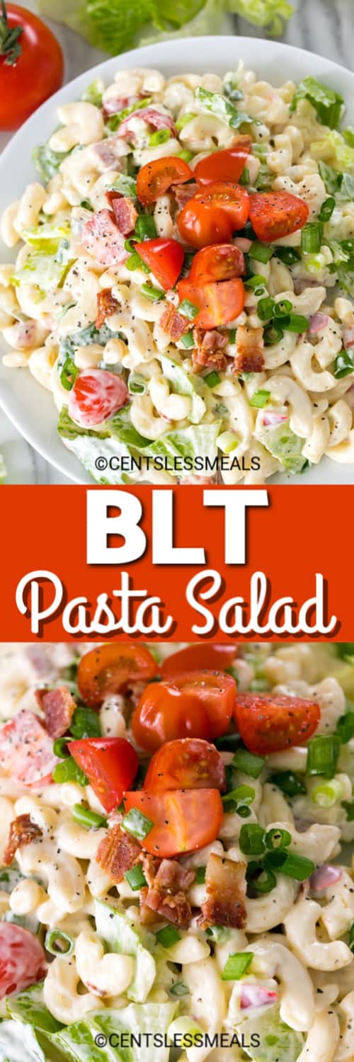 BLT Pasta Salad served in a white bowl and Pasta Salad garnished with bacon, green onion and tomatoes.