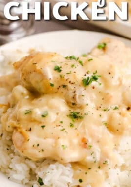 Creamy chicken served with rice on a white plate garnished with parsley and writing.