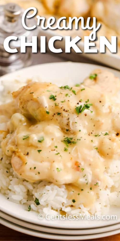 Creamy chicken served with rice on a white plate garnished with parsley and writing.