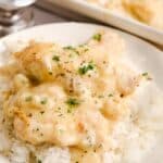 Creamy chicken with rice on a white plate garnished with parsley