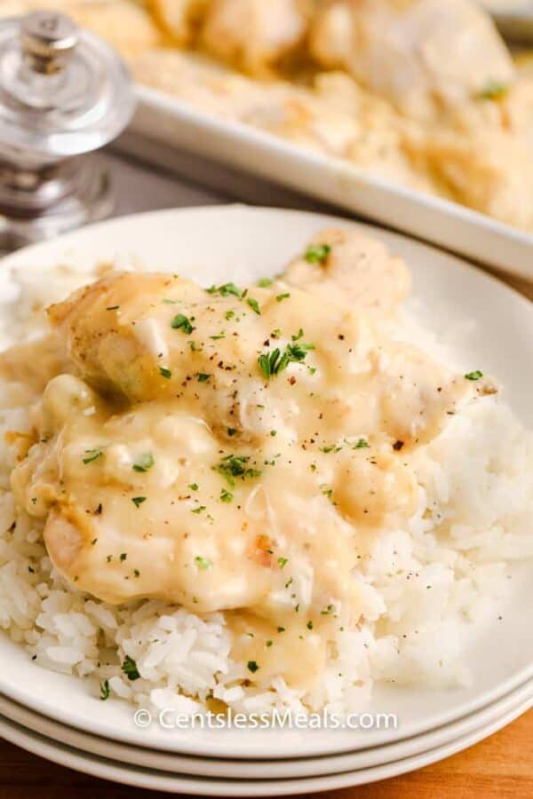Creamy chicken with rice on a white plate garnished with parsley
