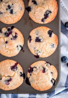 Blueberry muffins in a muffin tin