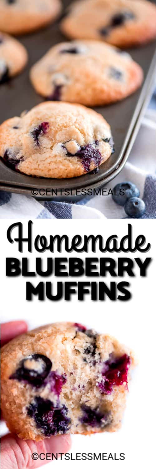 Blueberry Muffins in a muffin tin, and one homemade blueberry muffin being held under the title