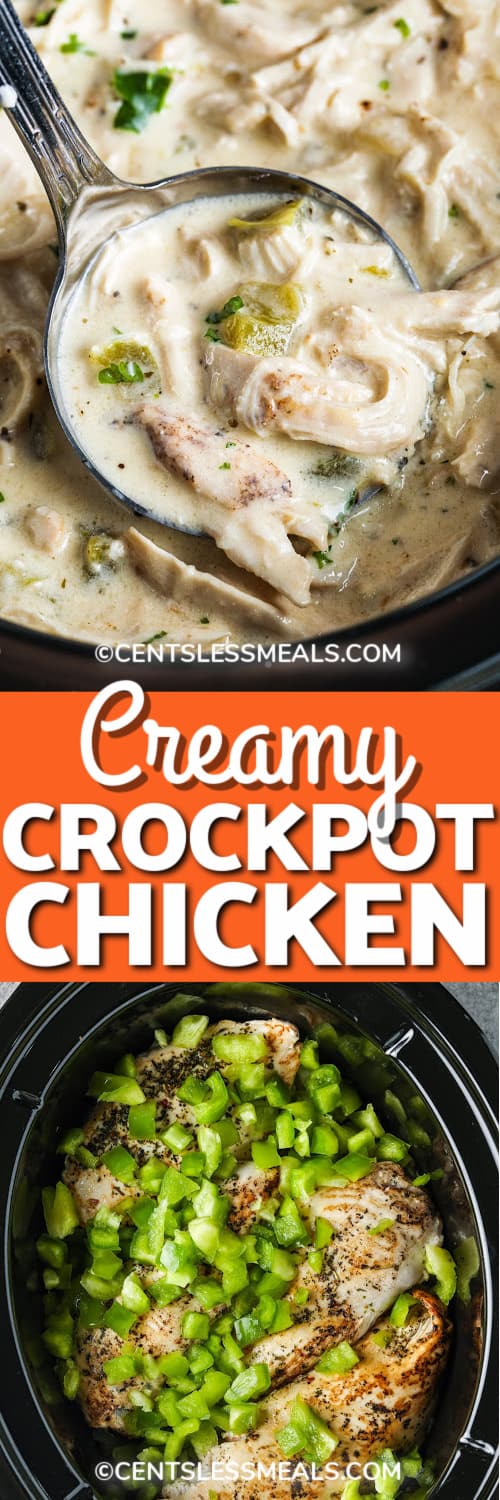 Creamy Crock Pot Chicken in a silver ladle, and ingredients assembled to make Creamy Crockpot Chicken in the bottom of a slow cooker underneath the title.
