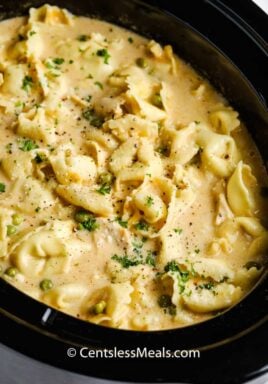 Crockpot Chicken Tortellini in the crockpot after cooking