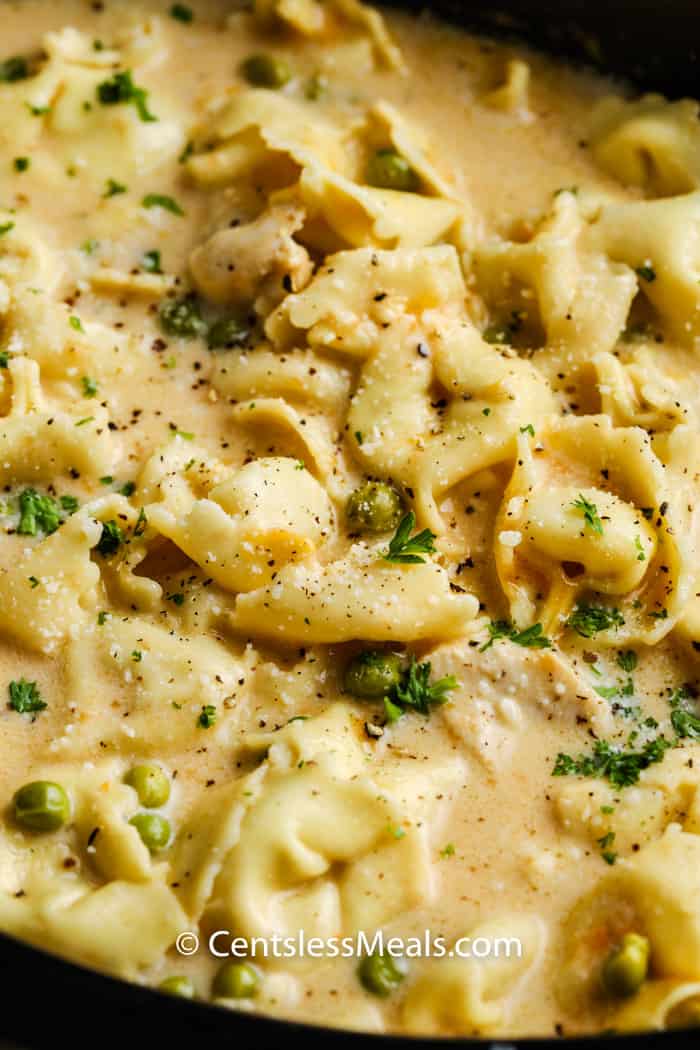 Crockpot Chicken Tortellini close up in a slow cooker