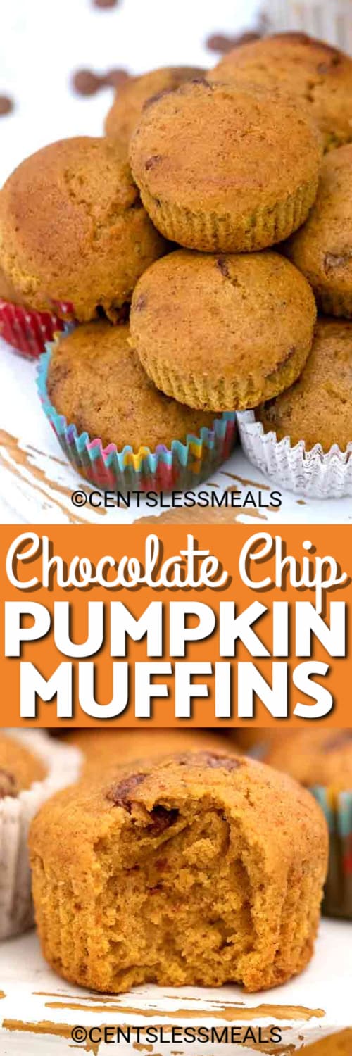 Chocolate Chip Pumpkin Muffins {Fall Inspired Recipe} - The Shortcut ...